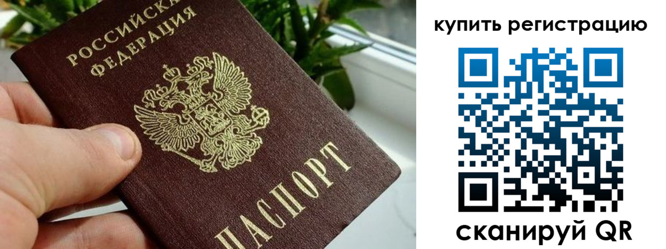 прописка гарантия в Томской области